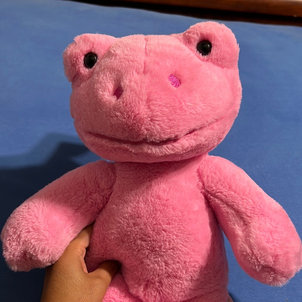 Build-A-Bear Pink Frog